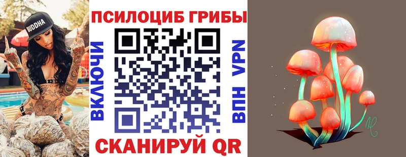 Галлюциногенные грибы Psilocybe что такое Семикаракорск
